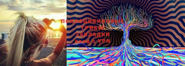 дмт Алзамай