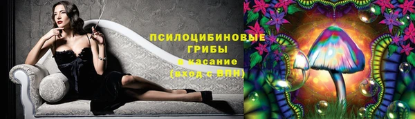 дмт Алзамай