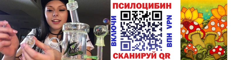 Галлюциногенные грибы прущие грибы купить Андреаполь